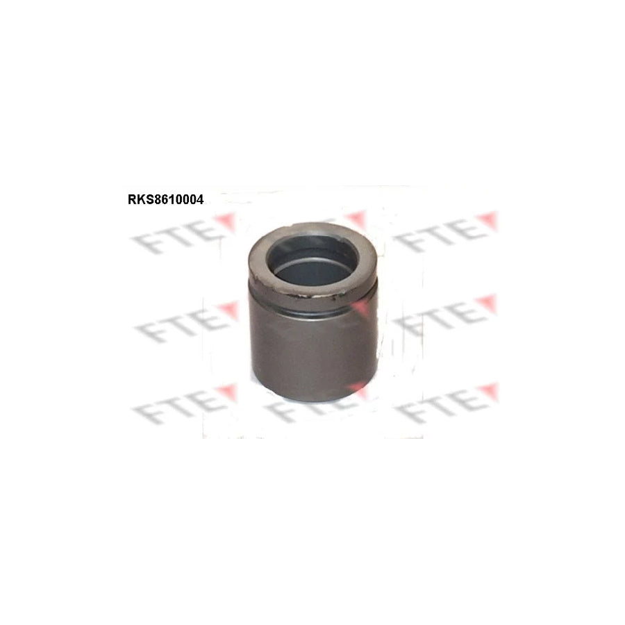FTE 9313113 Piston, Brake Caliper