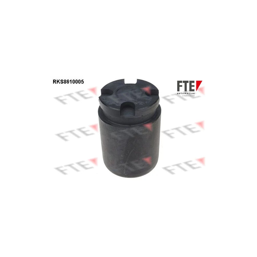 FTE 9313114 Piston, Brake Caliper