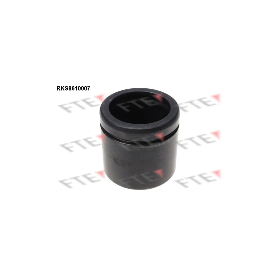 FTE 9313116 Piston, Brake Caliper