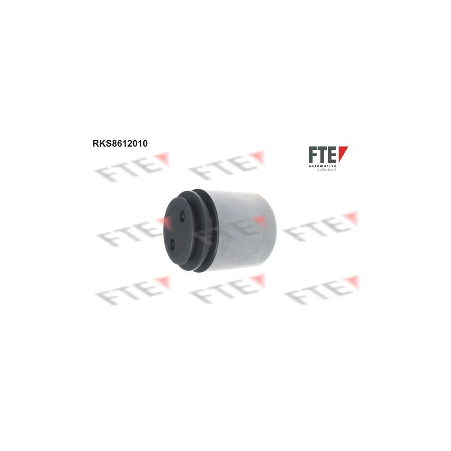 FTE 9313123 Piston, Brake Caliper