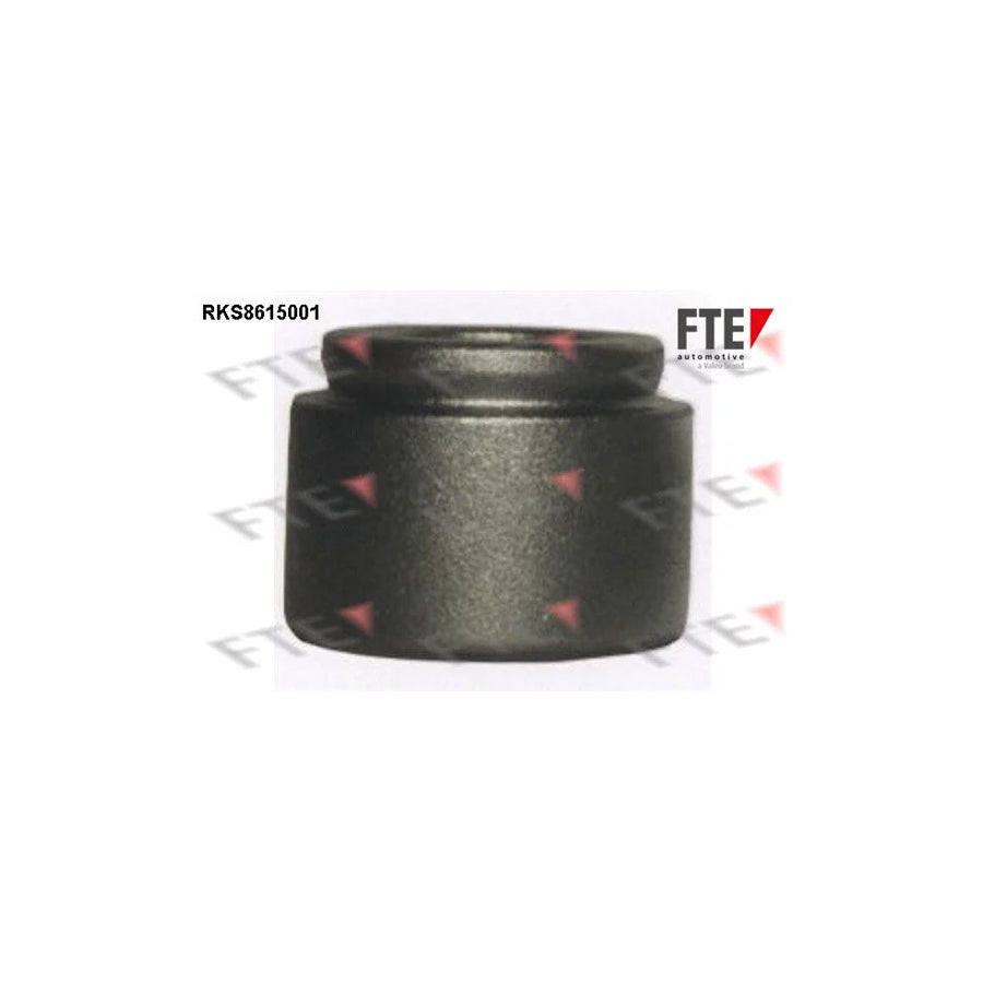 FTE 9313126 Piston, Brake Caliper