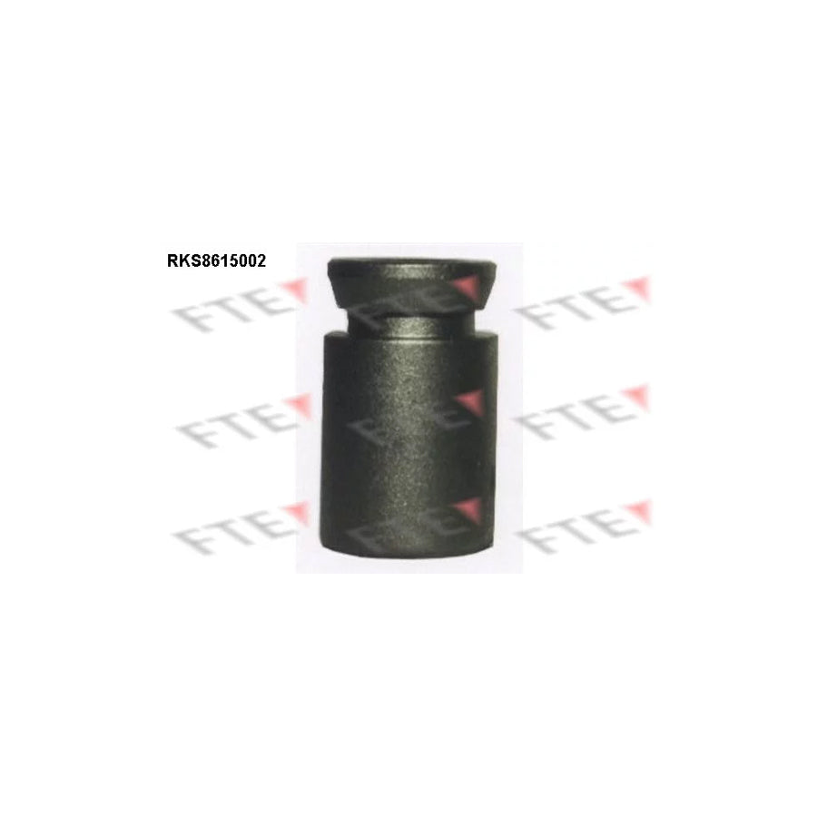FTE 9313127 Piston, Brake Caliper
