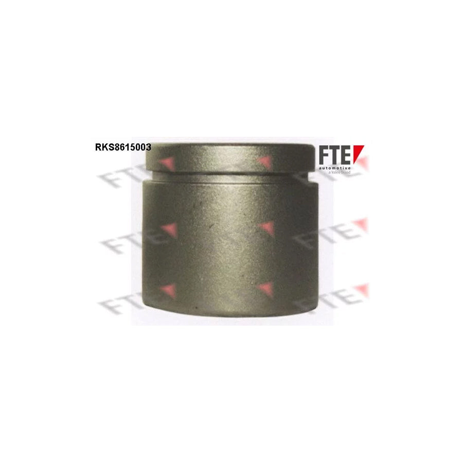 FTE 9313128 Piston, Brake Caliper