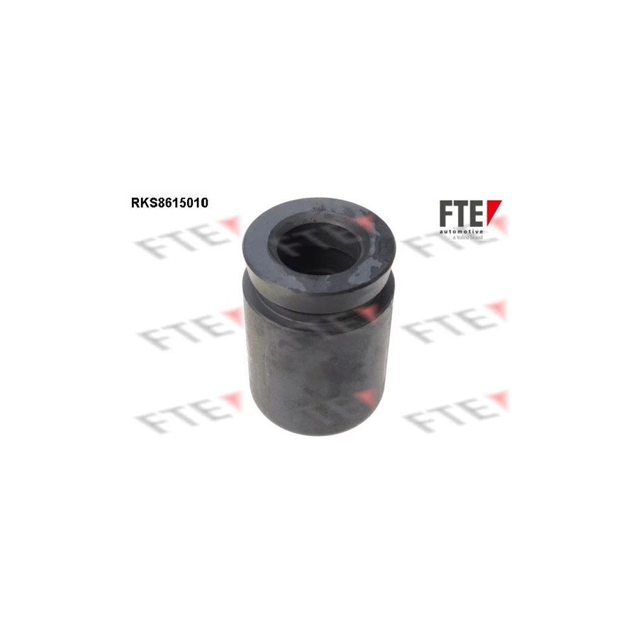 FTE 9313130 Piston, Brake Caliper