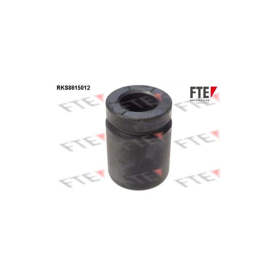 FTE 9313131 Piston, Brake Caliper