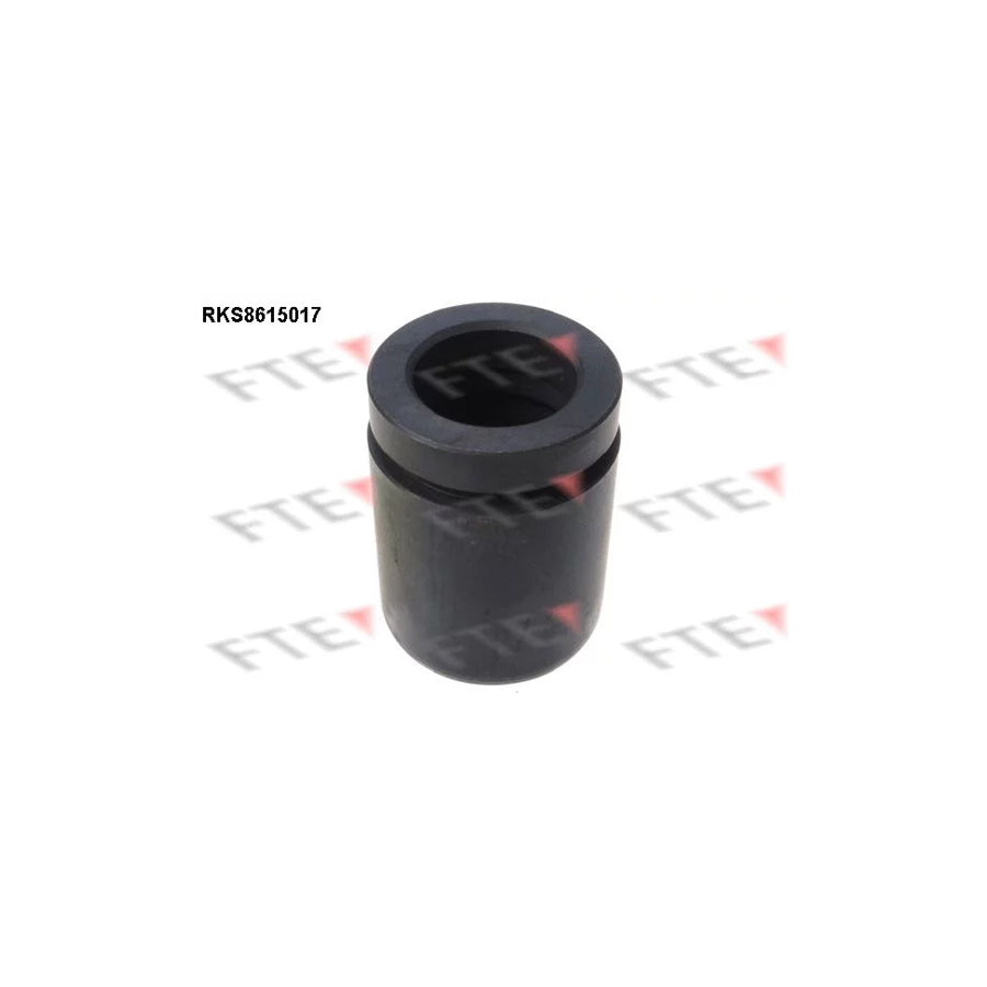 FTE 9313133 Piston, Brake Caliper for BMW 7 (E38)