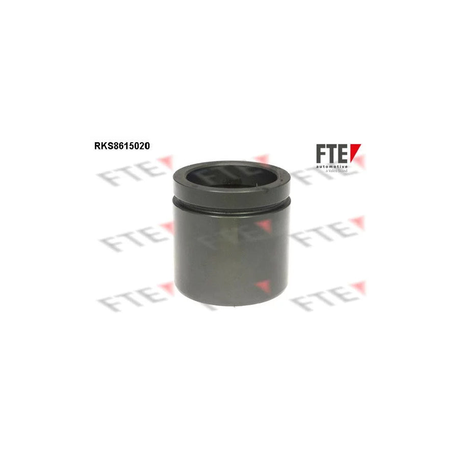 FTE 9313136 Piston, Brake Caliper