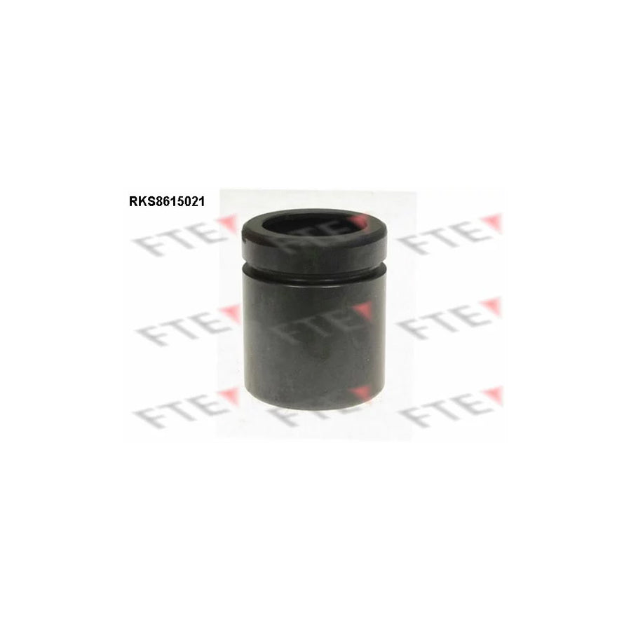 FTE 9313137 Piston, Brake Caliper