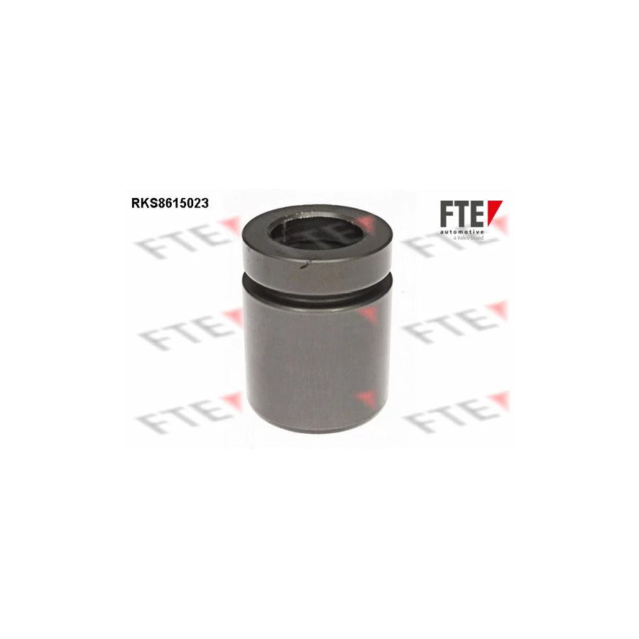 FTE 9313138 Piston, Brake Caliper