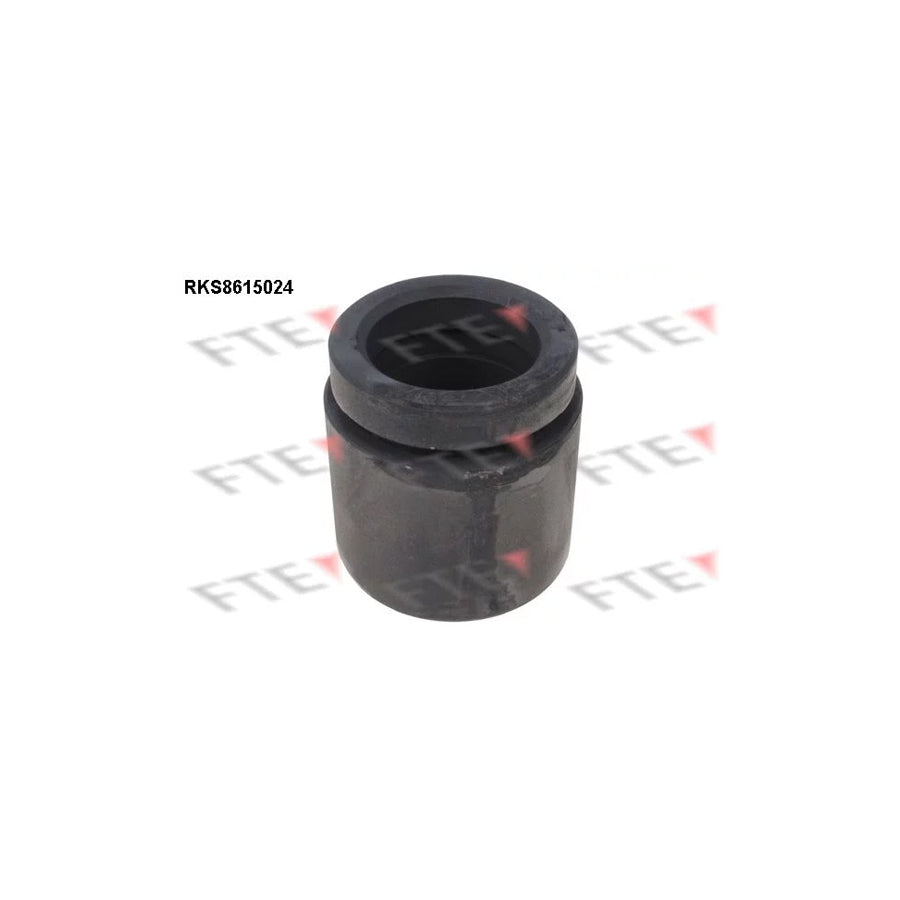 FTE 9313139 Piston, Brake Caliper