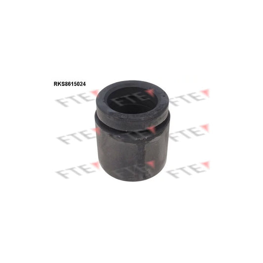 FTE 9313139 Piston, Brake Caliper