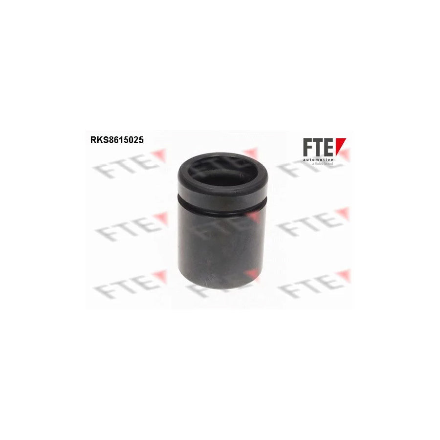 FTE 9313140 Piston, Brake Caliper for BMW 1 Series