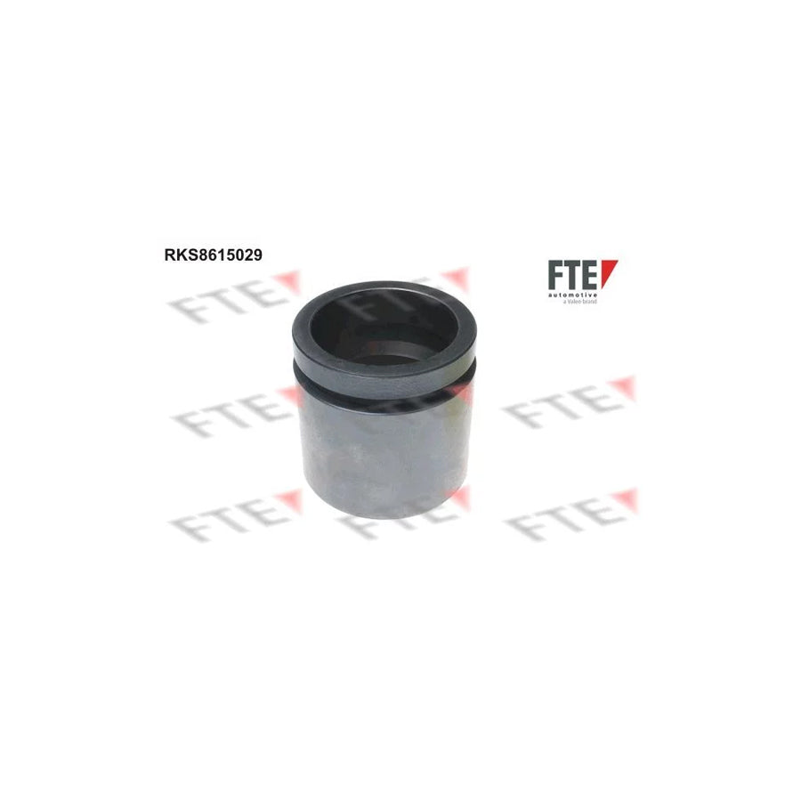 FTE 9313144 Piston, Brake Caliper