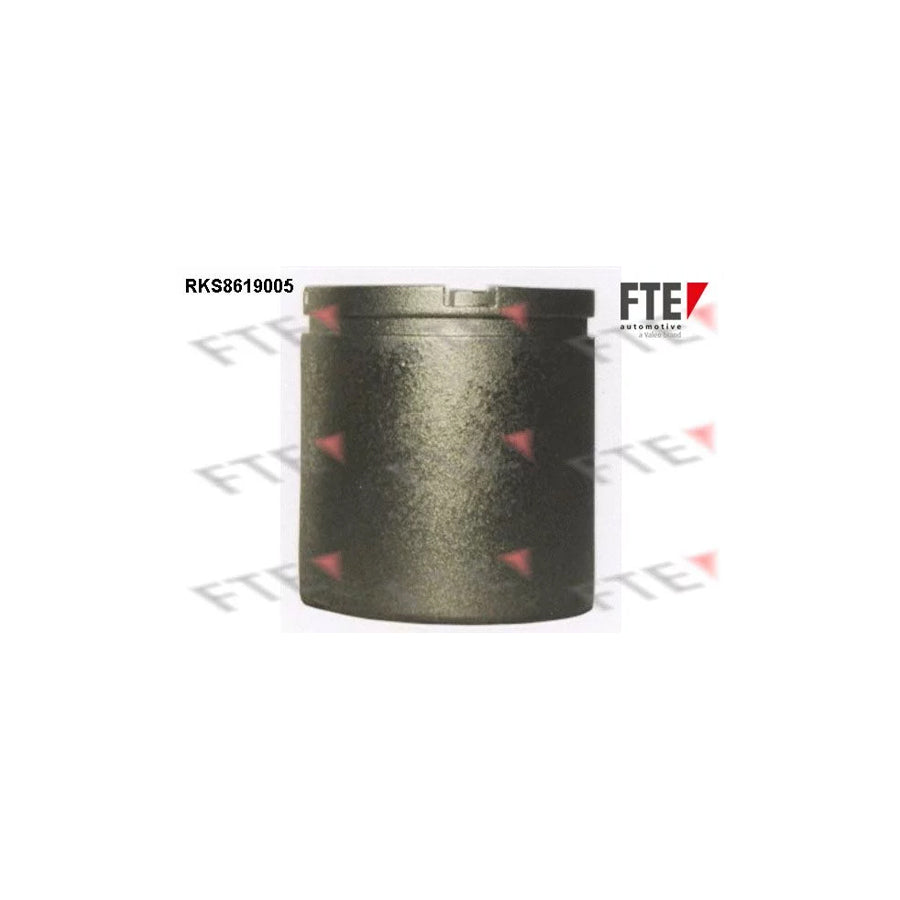 FTE 9313148 Piston, Brake Caliper for Citroã N Bx