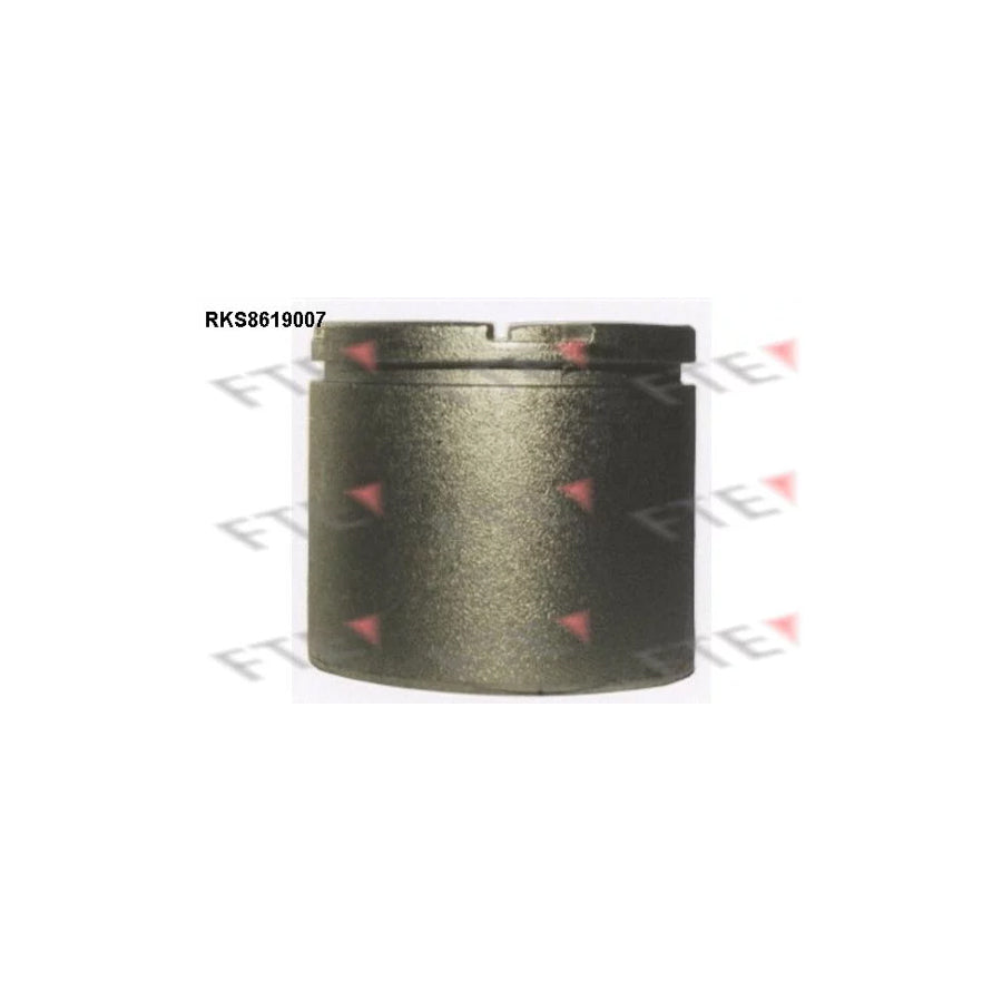 FTE 9313150 Piston, Brake Caliper