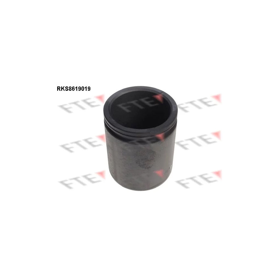 FTE 9313161 Piston, Brake Caliper