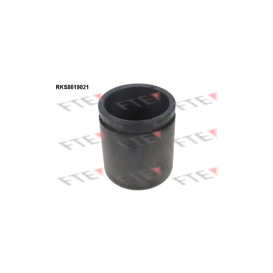 FTE 9313163 Piston, Brake Caliper