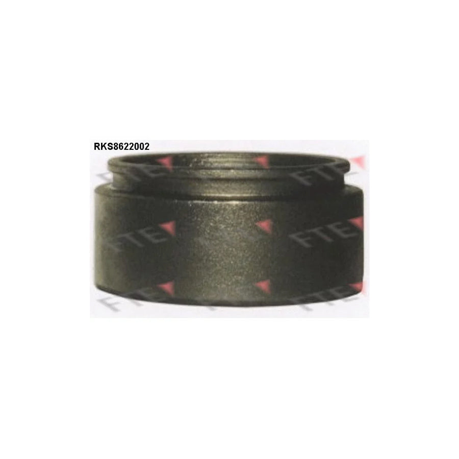 FTE 9313166 Piston, Brake Caliper