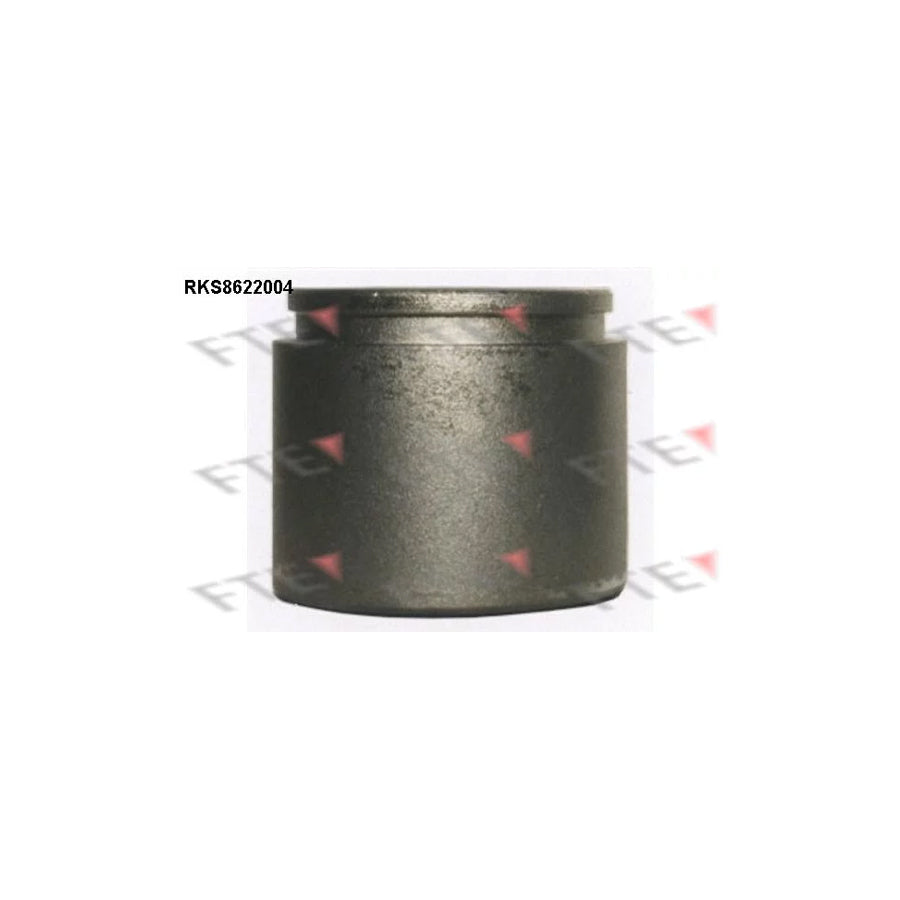 FTE 9313168 Piston, Brake Caliper