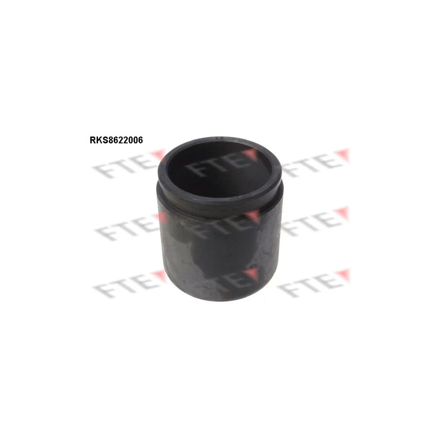 FTE 9313169 Piston, Brake Caliper for Nissan Micra I Hatchback (K10)
