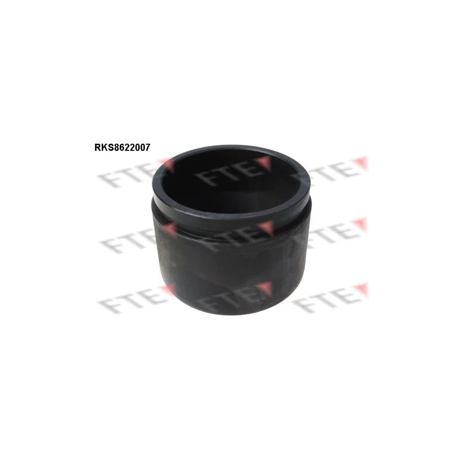 FTE 9313170 Piston, Brake Caliper for Nissan Patrol