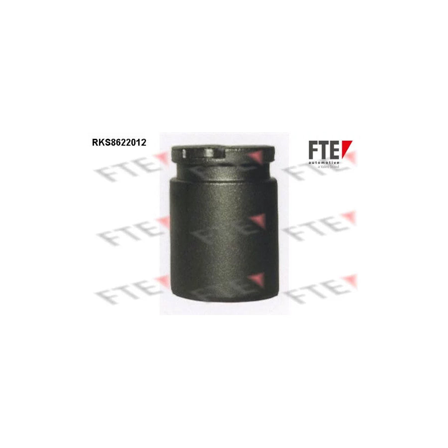FTE 9313174 Piston, Brake Caliper for Nissan Sunny