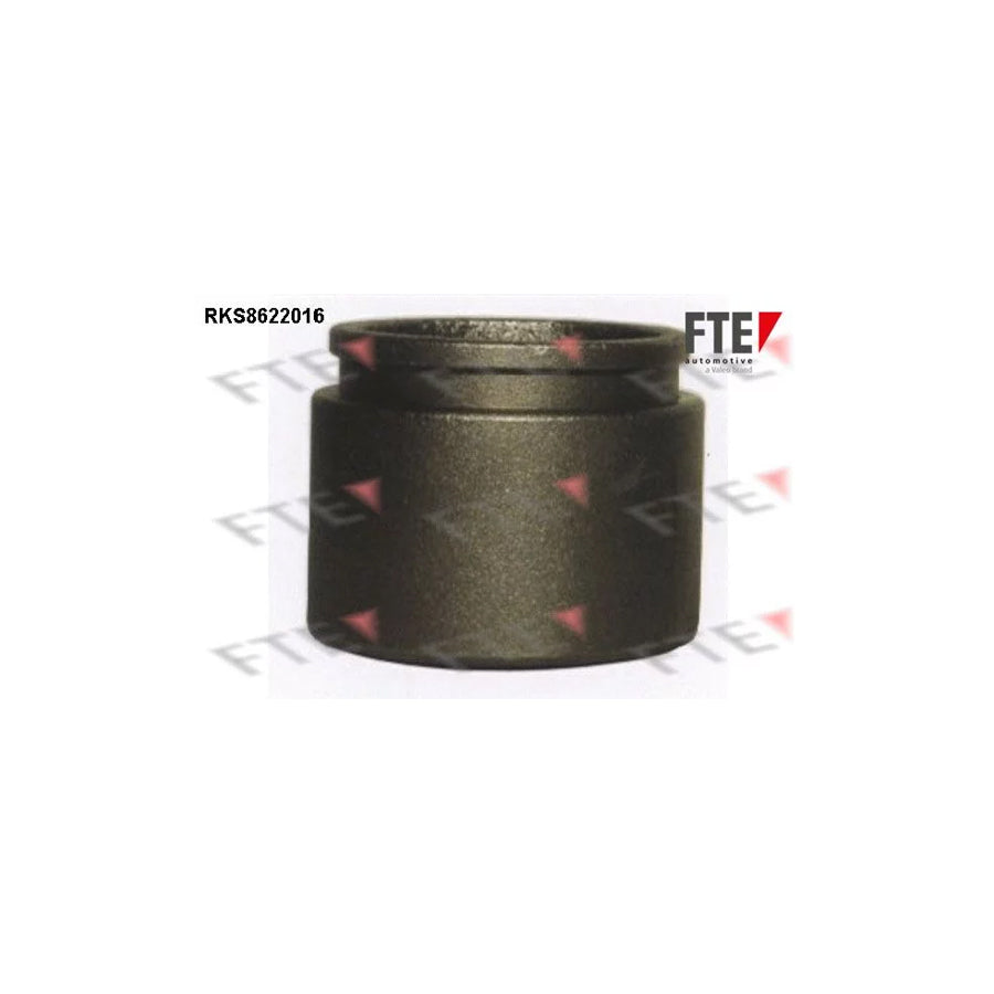 FTE 9313177 Piston, Brake Caliper