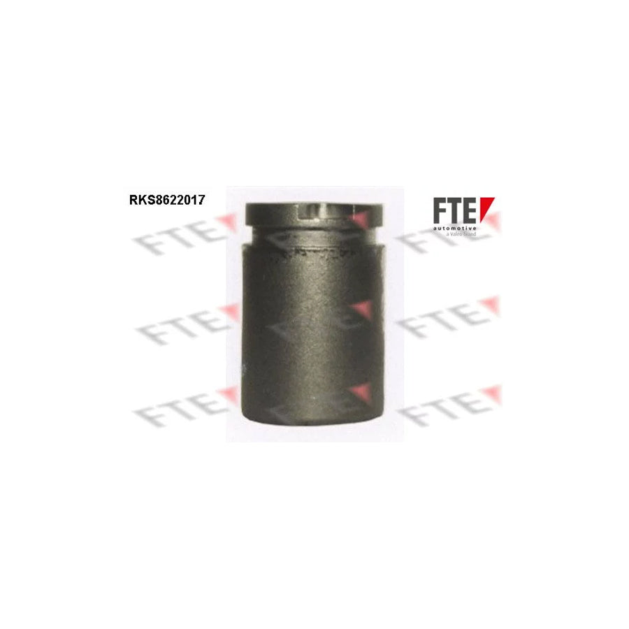 FTE 9313178 Piston, Brake Caliper