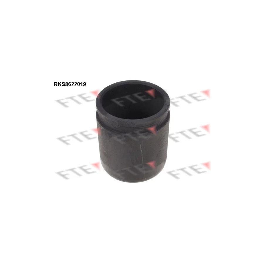 FTE 9313180 Piston, Brake Caliper