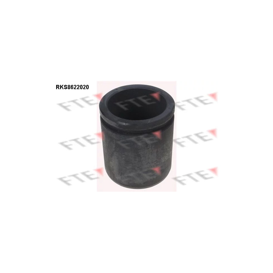 FTE 9313181 Piston, Brake Caliper