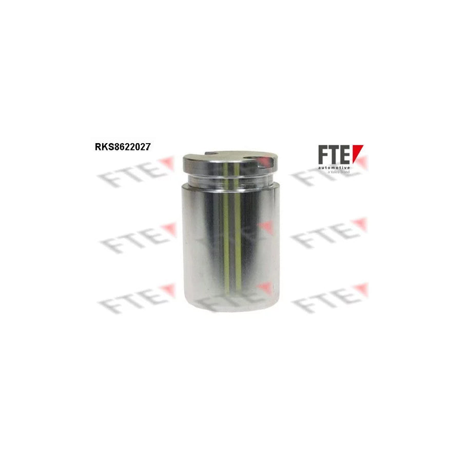 FTE 9313186 Piston, Brake Caliper