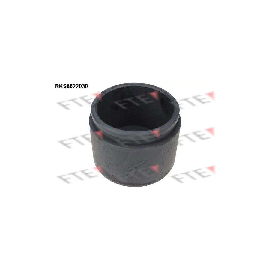 FTE 9313188 Piston, Brake Caliper