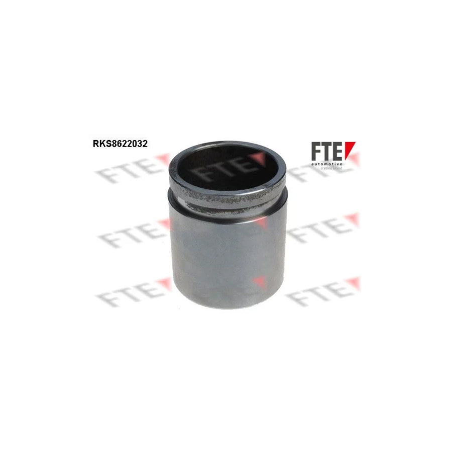 FTE 9313190 Piston, Brake Caliper