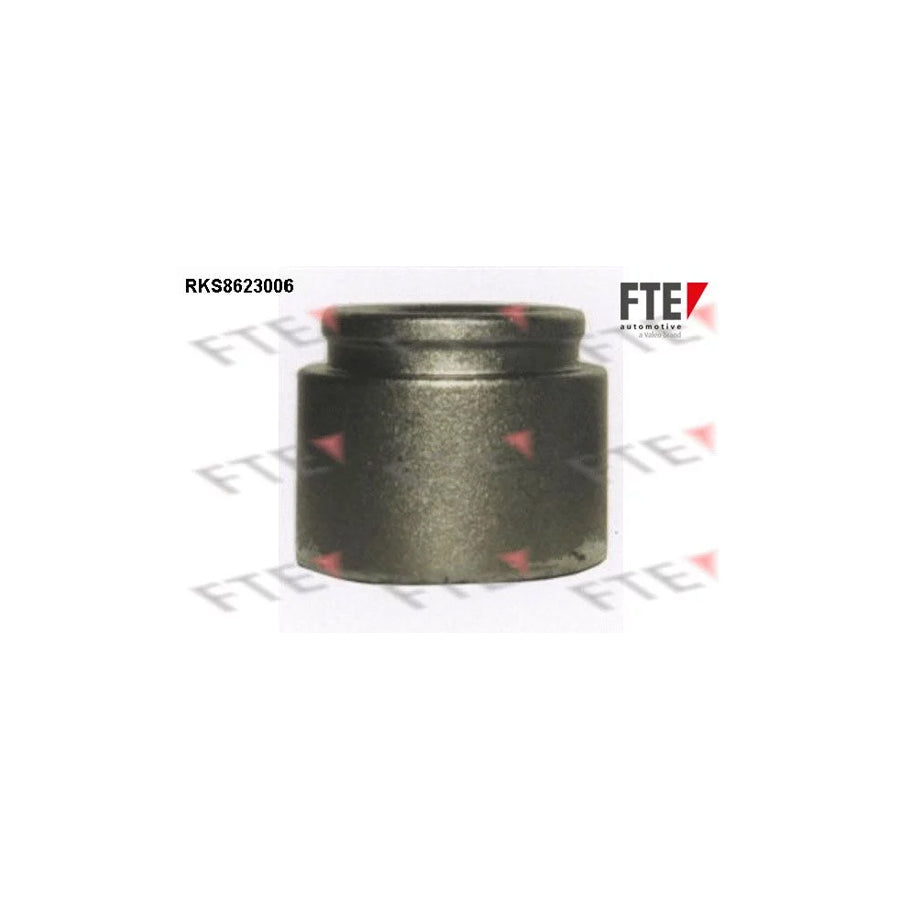 FTE 9313193 Piston, Brake Caliper for Iveco Daily