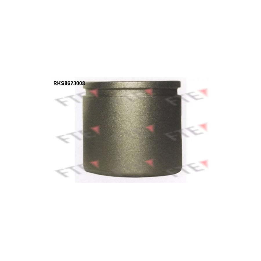 FTE 9313195 Piston, Brake Caliper