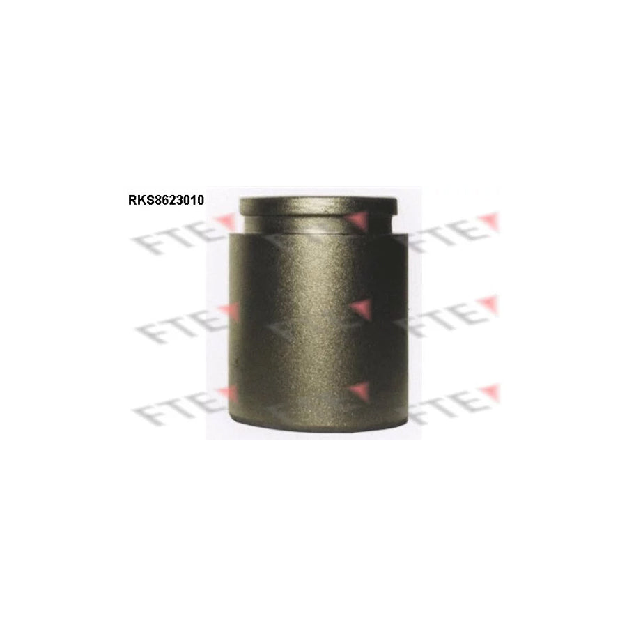 FTE 9313196 Piston, Brake Caliper