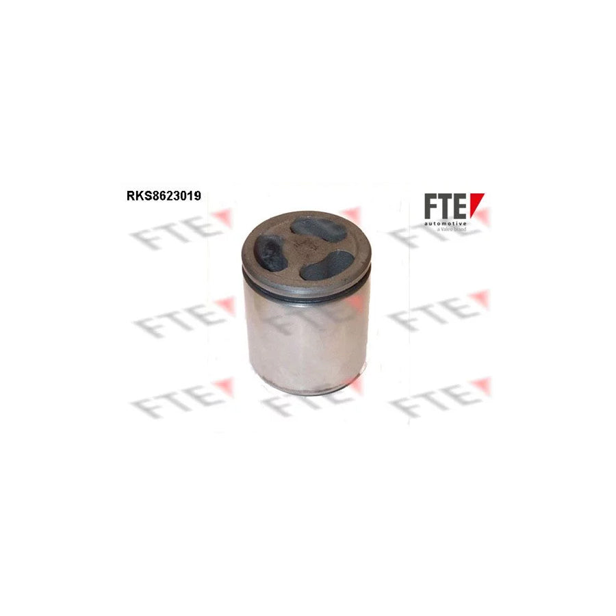 FTE 9313203 Piston, Brake Caliper for Iveco Daily