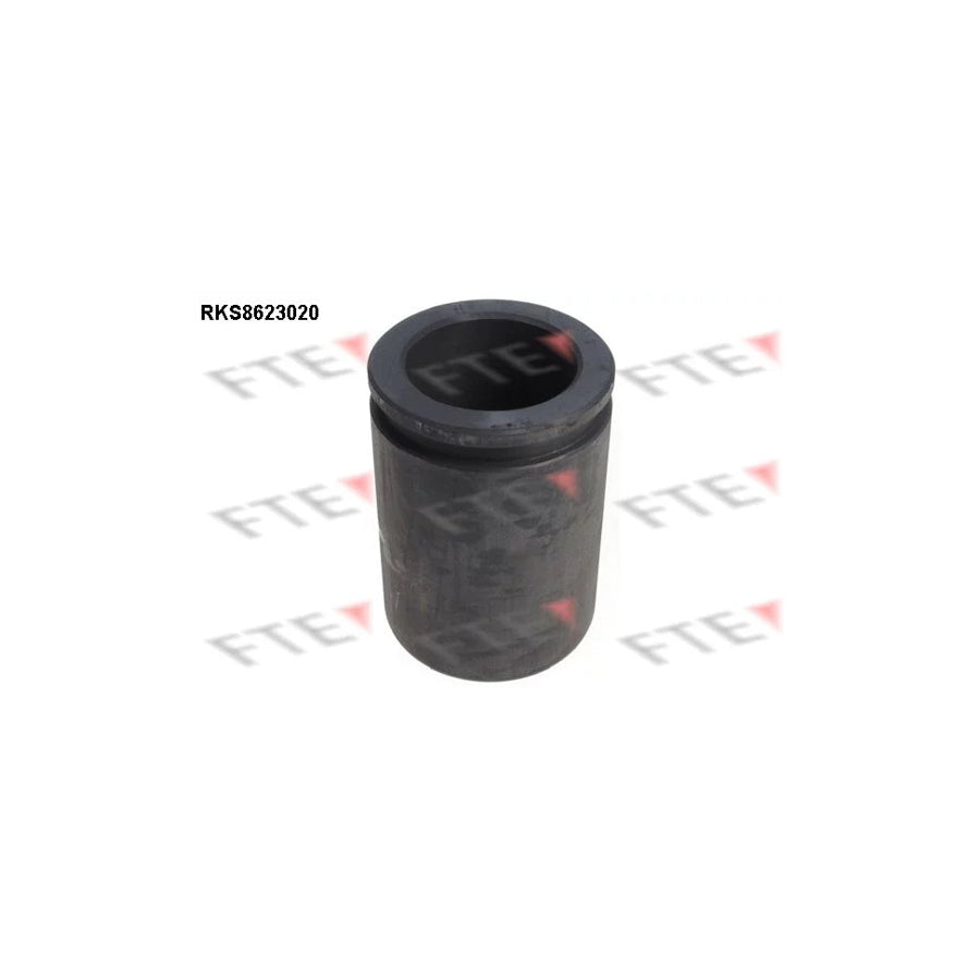 FTE 9313204 Piston, Brake Caliper for Iveco Daily