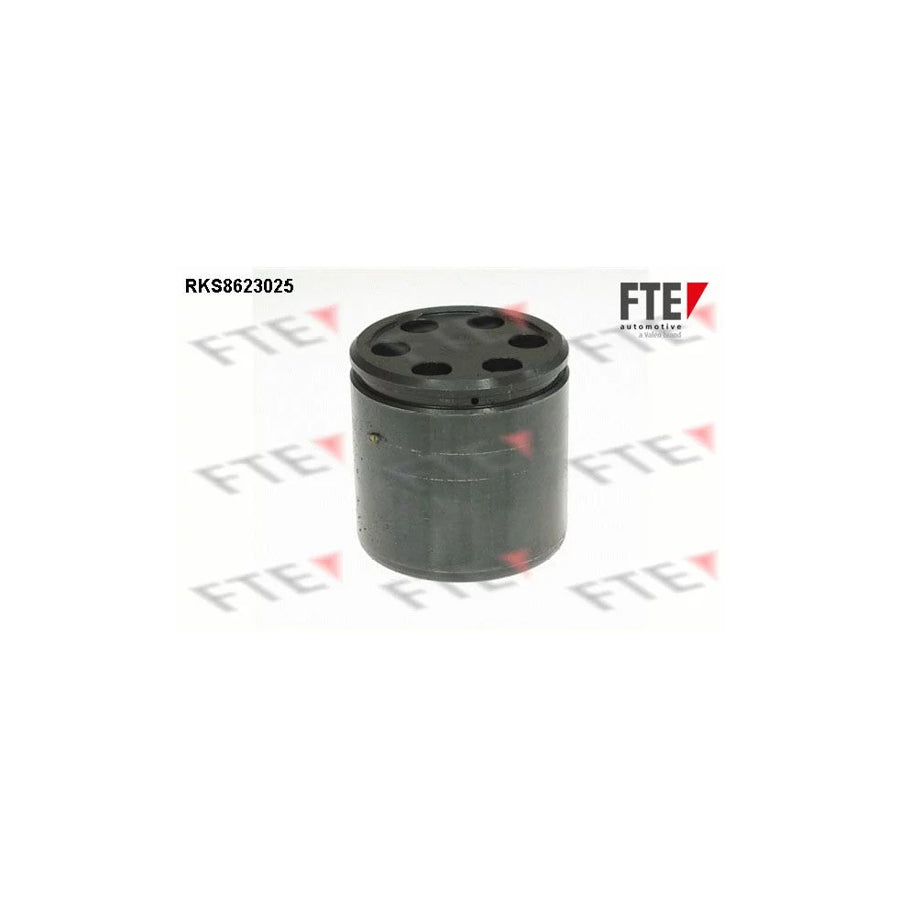 FTE 9313208 Piston, Brake Caliper for Iveco Daily