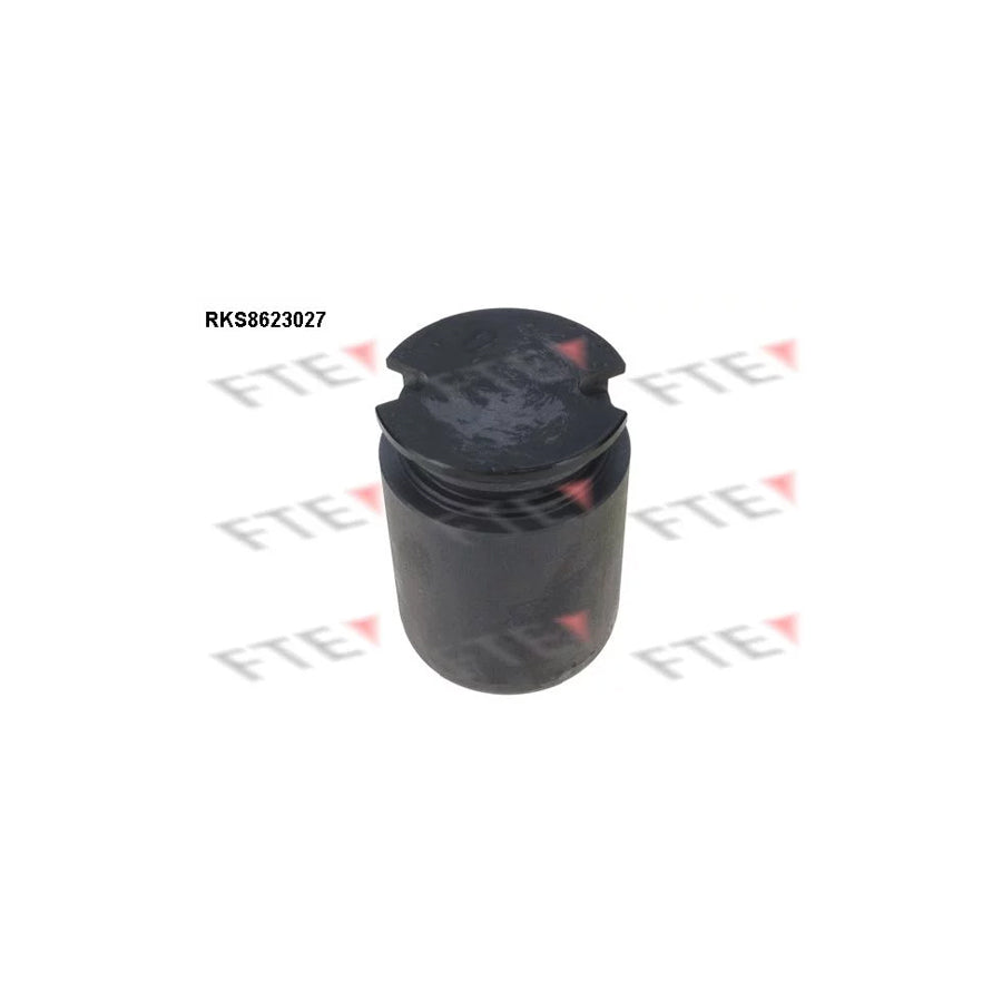 FTE 9313209 Piston, Brake Caliper