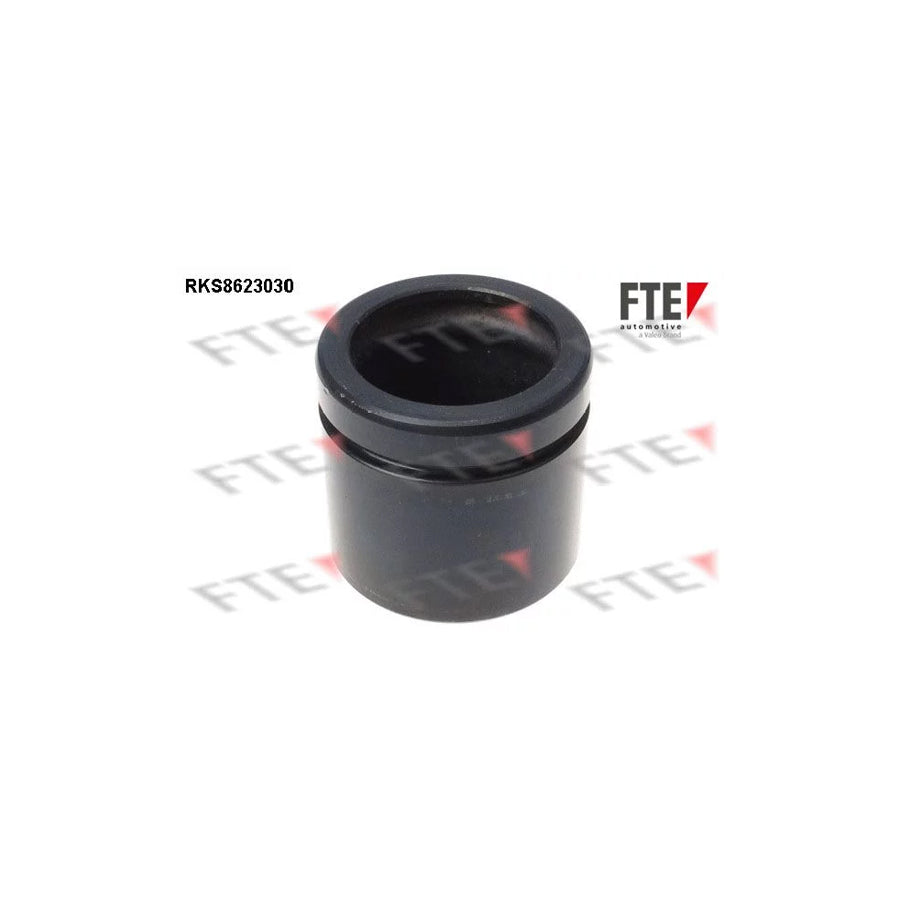 FTE 9313210 Piston, Brake Caliper