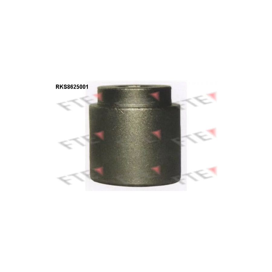 FTE 9313214 Piston, Brake Caliper for Ford Fiesta