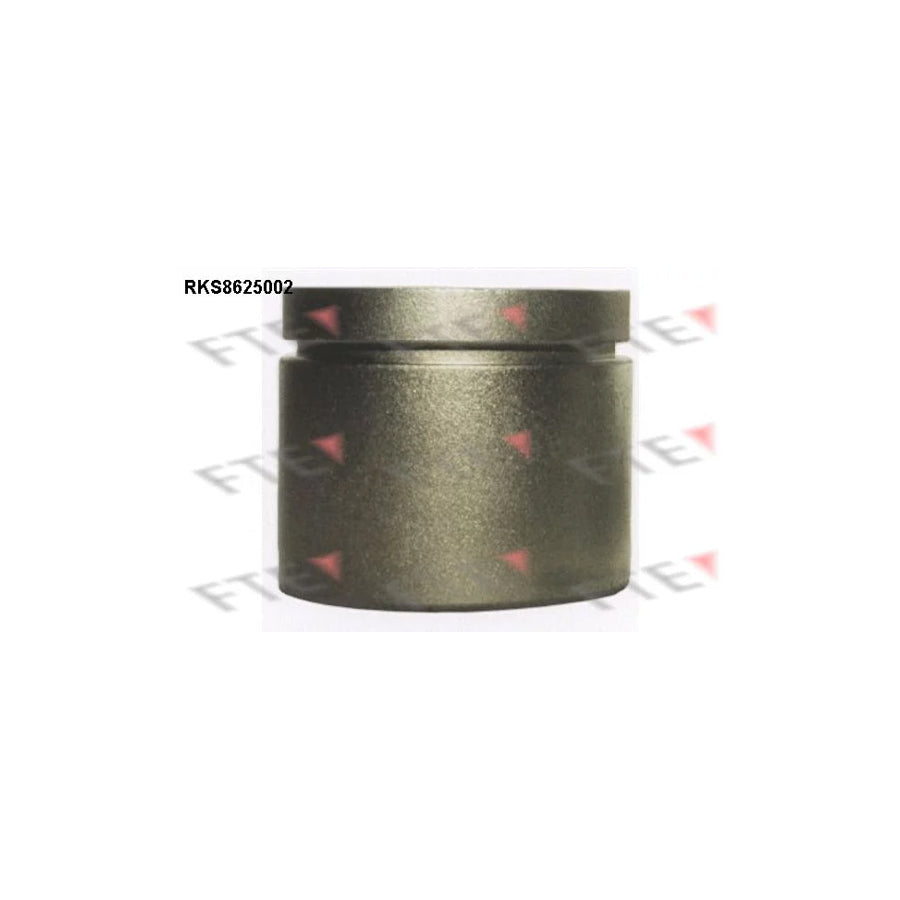 FTE 9313215 Piston, Brake Caliper