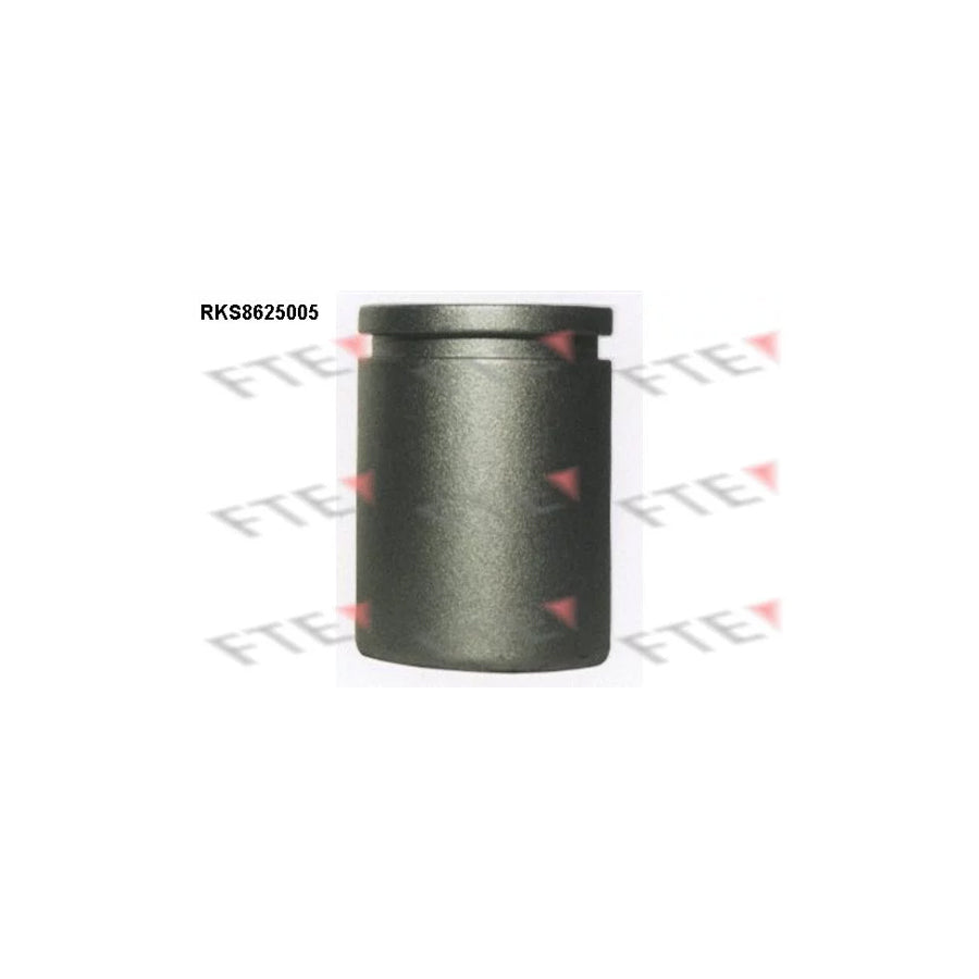 FTE 9313217 Piston, Brake Caliper for Ford Transit