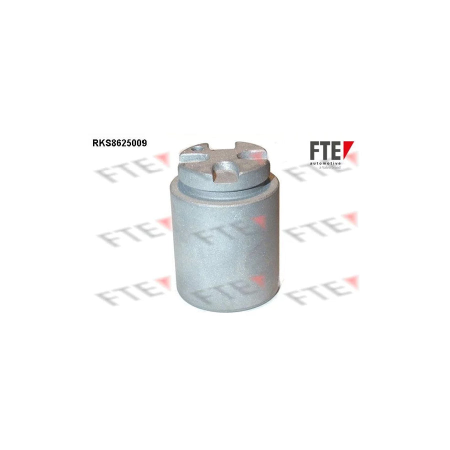 FTE 9313218 Piston, Brake Caliper