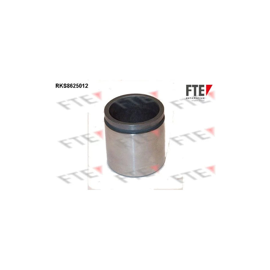 FTE 9313219 Piston, Brake Caliper
