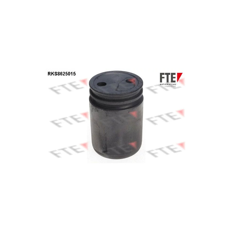 FTE 9313222 Piston, Brake Caliper