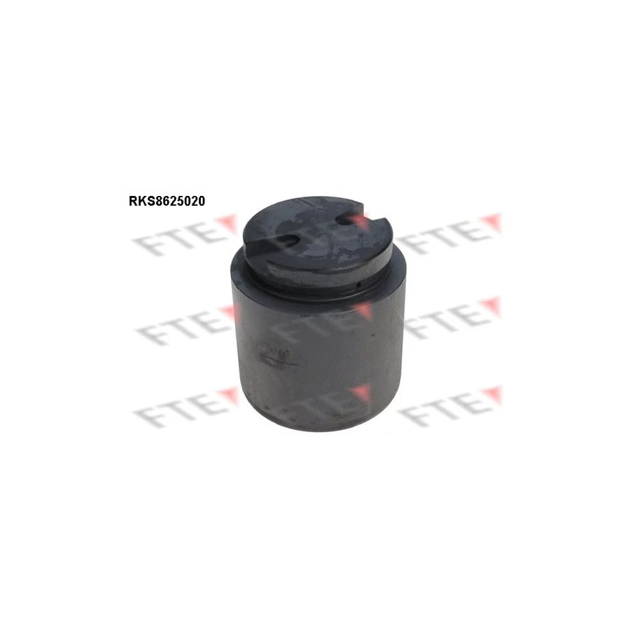 FTE 9313227 Piston, Brake Caliper for Ford Transit