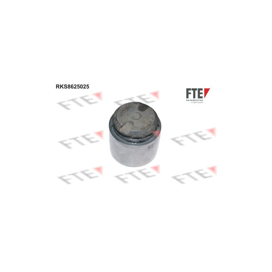 FTE 9313229 Piston, Brake Caliper