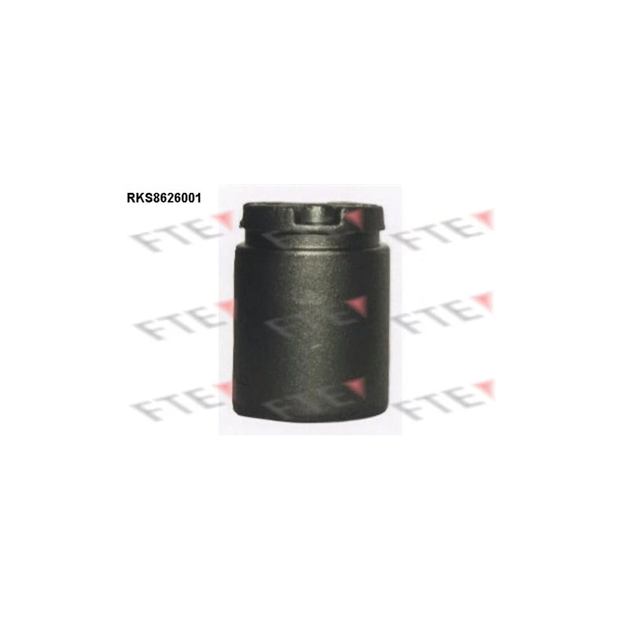 FTE 9313230 Piston, Brake Caliper for Honda Accord
